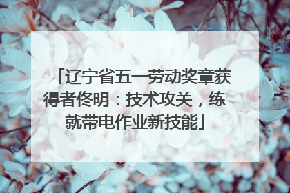 辽宁省五一劳动奖章获得者佟明：技术攻关，练就带电作业新技能