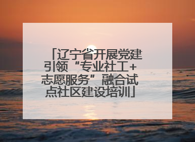 辽宁省开展党建引领“专业社工+志愿服务”融合试点社区建设培训