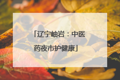辽宁岫岩：中医药夜市护健康