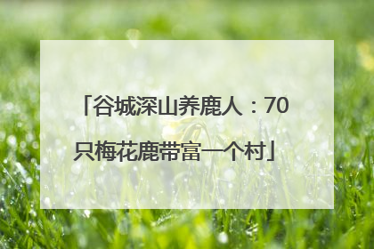 谷城深山养鹿人：70只梅花鹿带富一个村
