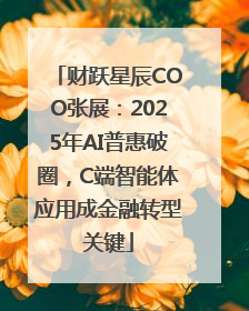 财跃星辰COO张展：2025年AI普惠破圈，C端智能体应用成金融转型关键