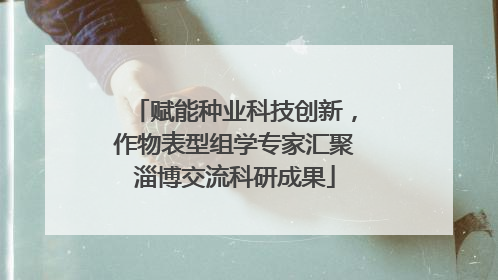 赋能种业科技创新，作物表型组学专家汇聚淄博交流科研成果