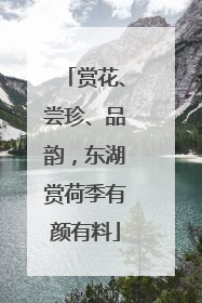 赏花、尝珍、品韵，东湖赏荷季有颜有料
