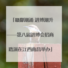 赣鄱潮涌 进博潮升——第八届进博会招商路演在江西南昌举办