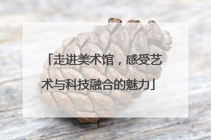 走进美术馆，感受艺术与科技融合的魅力