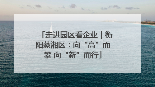 走进园区看企业｜衡阳蒸湘区：向“高”而攀 向“新”而行
