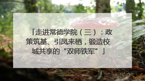 走进常德学院（三）：政策筑基、引凤来栖，锻造校城共享的“双师铁军”