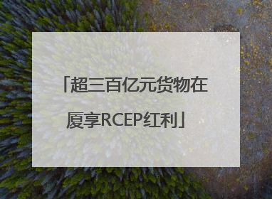 超三百亿元货物在厦享RCEP红利