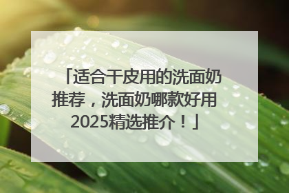 适合干皮用的洗面奶推荐，洗面奶哪款好用2025精选推介！