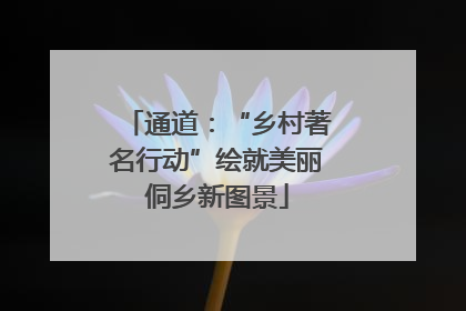 通道：“乡村著名行动”绘就美丽侗乡新图景