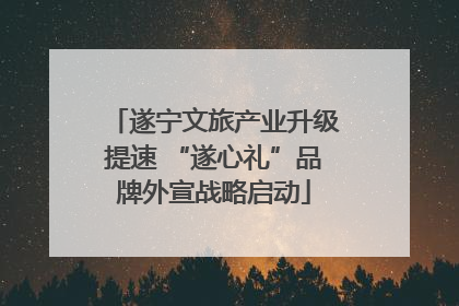 遂宁文旅产业升级提速 “遂心礼”品牌外宣战略启动