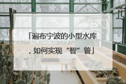 遍布宁波的小型水库，如何实现“智”管