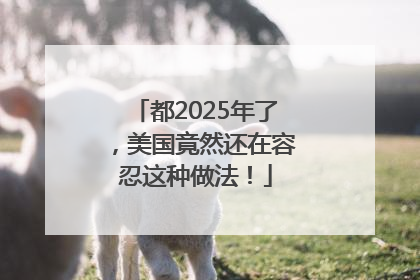 都2025年了，美国竟然还在容忍这种做法！