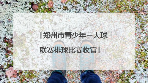 郑州市青少年三大球联赛排球比赛收官