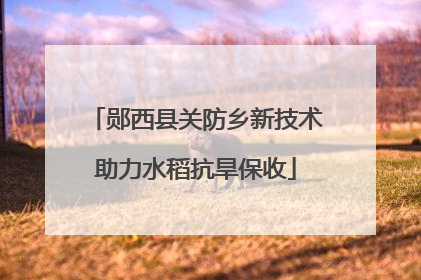 郧西县关防乡新技术助力水稻抗旱保收