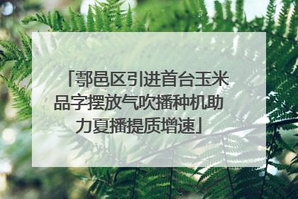 鄠邑区引进首台玉米品字摆放气吹播种机助力夏播提质增速