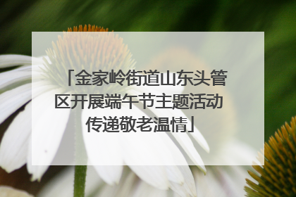 金家岭街道山东头管区开展端午节主题活动 传递敬老温情