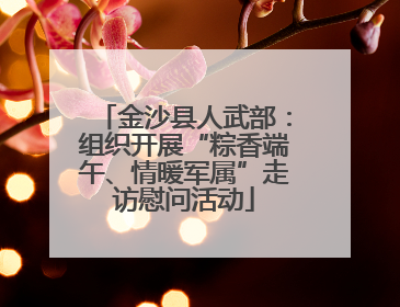 金沙县人武部：组织开展“粽香端午、情暖军属”走访慰问活动