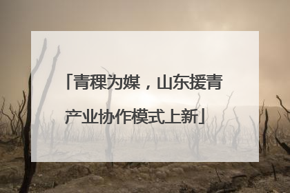 青稞为媒，山东援青产业协作模式上新