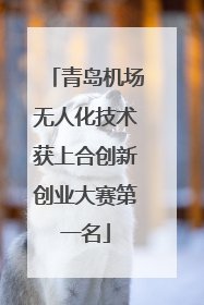 青岛机场无人化技术获上合创新创业大赛第一名