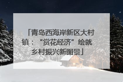 青岛西海岸新区大村镇：“赏花经济”绘就乡村振兴新图景