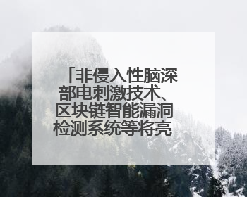 非侵入性脑深部电刺激技术、区块链智能漏洞检测系统等将亮相上交会