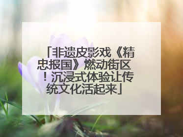 非遗皮影戏《精忠报国》燃动街区！沉浸式体验让传统文化活起来