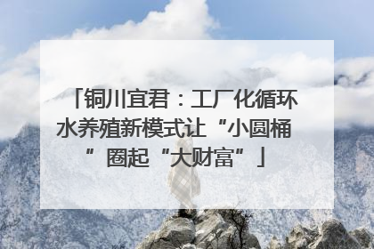 铜川宜君：工厂化循环水养殖新模式让“小圆桶”圈起“大财富”