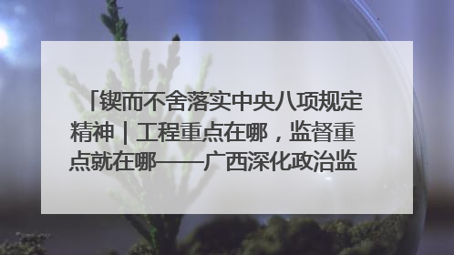 锲而不舍落实中央八项规定精神｜工程重点在哪，监督重点就在哪——广西深化政治监督护航平陆运河建设