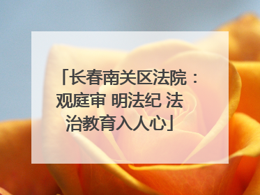 长春南关区法院：观庭审 明法纪 法治教育入人心