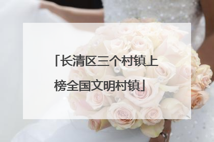 长清区三个村镇上榜全国文明村镇