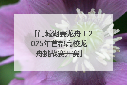 门城湖赛龙舟！2025年首都高校龙舟挑战赛开赛