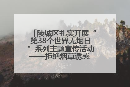 陵城区扎实开展“第38个世界无烟日”系列主题宣传活动——拒绝烟草诱惑 对第一支烟说不