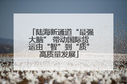 陆海新通道“最强大脑” 带动国际货运由“智”到“质”高质量发展
