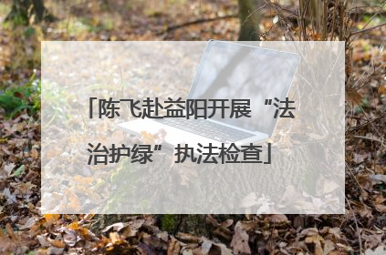 陈飞赴益阳开展“法治护绿”执法检查
