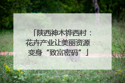 陕西神木铧西村：花卉产业让美丽资源变身“致富密码”