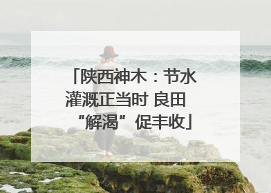 陕西神木：节水灌溉正当时 良田“解渴”促丰收