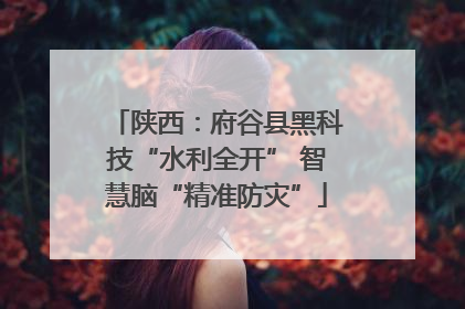 陕西：府谷县黑科技“水利全开” 智慧脑“精准防灾”