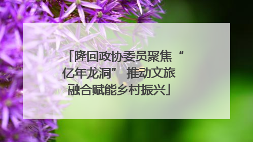 隆回政协委员聚焦“亿年龙洞” 推动文旅融合赋能乡村振兴