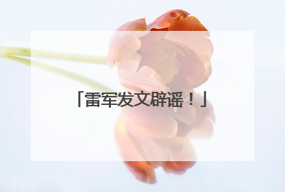 雷军发文辟谣！