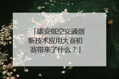 雄安低空交通创新技术应用大赛初赛带来了什么？