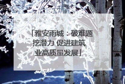 雅安雨城：破难题 挖潜力 促进建筑业高质量发展