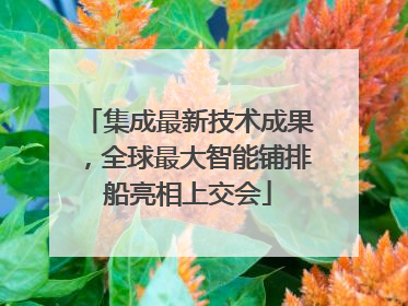 集成最新技术成果，全球最大智能铺排船亮相上交会