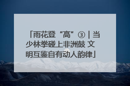 雨花登“高”③｜当少林拳碰上非洲鼓 文明互鉴自有动人韵律