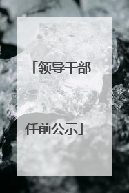 领导干部任前公示