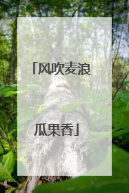 风吹麦浪 瓜果香