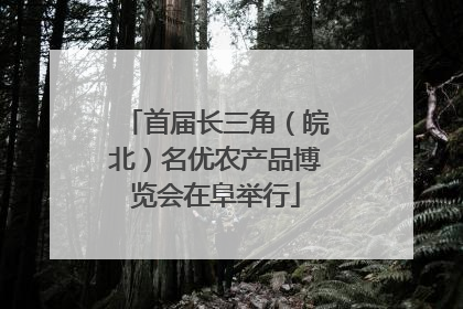 首届长三角（皖北）名优农产品博览会在阜举行