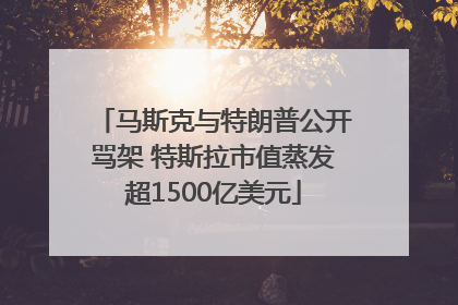 马斯克与特朗普公开骂架 特斯拉市值蒸发超1500亿美元