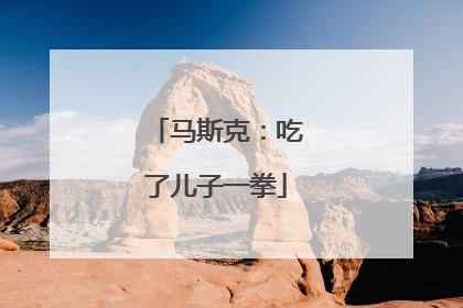马斯克：吃了儿子一拳