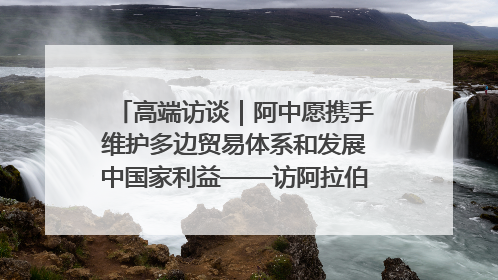 高端访谈｜阿中愿携手维护多边贸易体系和发展中国家利益——访阿拉伯议会议长亚马希